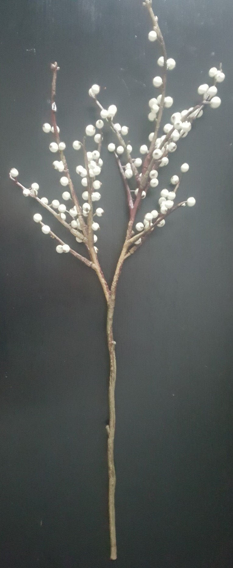 24 Small White Berry Stem 