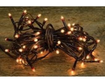 Teeny Clear Warm White Incandescent Bulbs 50 count Brown 10 Foot Cord Indoor Use