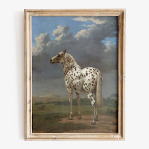 Paulus Potter - The Piebald Horse art print, Horse wall art, Fine art print