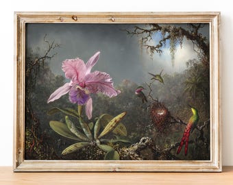 Orchid and Three Hummingbirds art print, Tropical Floral Museum-quality Fine Art print