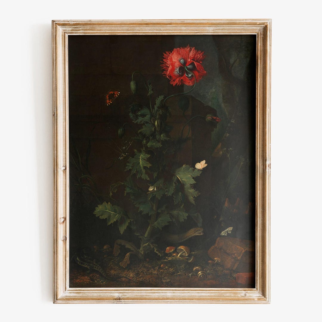 Still Life With Poppy, Insects, and Reptiles Art Print, Fine Art Print ...