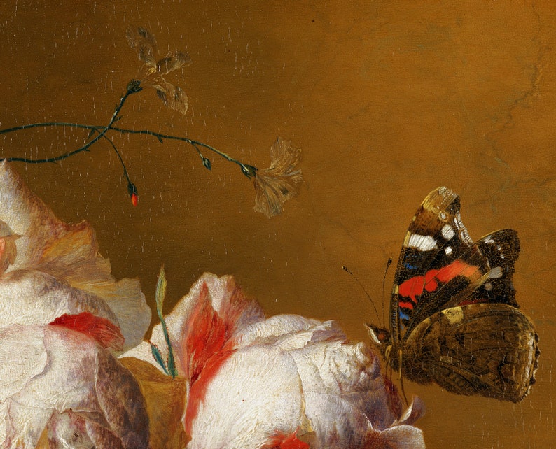 May include: A close-up of a still life painting featuring a white rose with red accents, a butterfly with red, white, and black markings, and a brown stem with a small white flower.