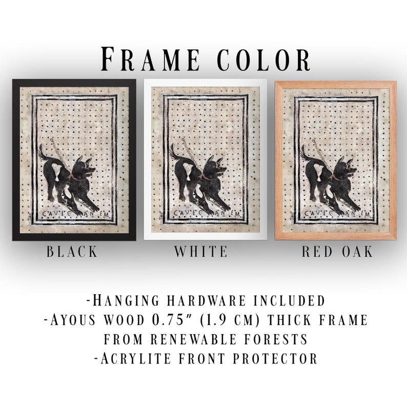 May include: Three framed prints of a black and white illustration of a dog with the text "CAVE CARE M" on a beige background. The frames are black, white, and red oak.