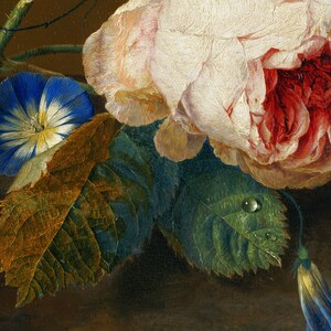 May include: A close-up of a still life painting featuring a white and red rose with a blue morning glory flower and green leaves. The rose has a delicate pink and white hue with a deep red center. The morning glory is a vibrant blue with a white center. The leaves are a deep green with water droplets on them.