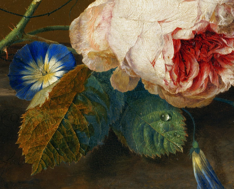 May include: A close-up of a still life painting featuring a white and red rose with a blue morning glory flower and green leaves. The rose has a delicate pink and white hue with a deep red center. The morning glory is a vibrant blue with a white center. The leaves are a deep green with water droplets on them.