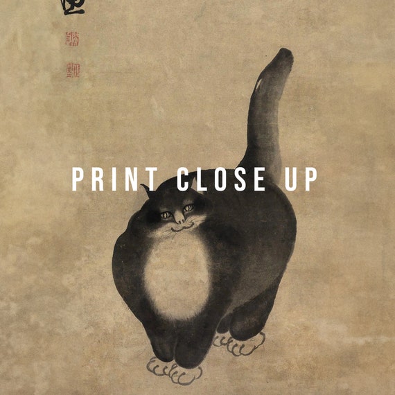 HARAJUKU BIBLE ～BLACK CATS Early Times …