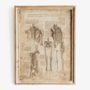 Leonardo da Vinci Kunstdruck, Anatomie Kunst, Berühmte Kunstdruck, Ästhetische Wandkunst