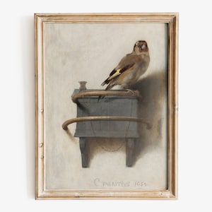 Carel Fabritius - The Goldfinch, Fine Art Print, Bird Painting Print
