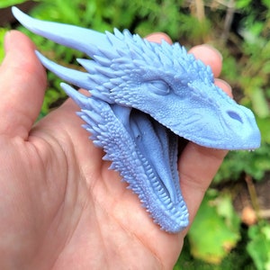 May include: A light blue dragon head sculpture with detailed scales and horns. The dragon's mouth is open, revealing teeth and a textured interior. The sculpture is held in a hand against a blurred green background.