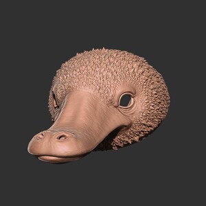 May include: A detailed, brown sculpture of a platypus head. The beak is smooth, while the top of the head has a textured, spiky appearance. The eyes are open, and the overall design is realistic.