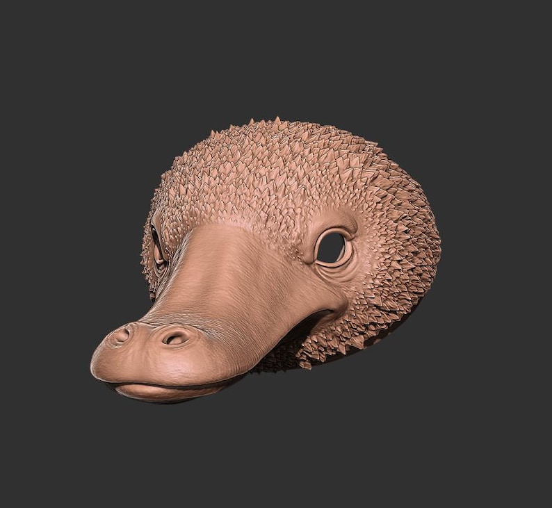 May include: A detailed, brown sculpture of a platypus head. The beak is smooth, while the top of the head has a textured, spiky appearance. The eyes are open, and the overall design is realistic.