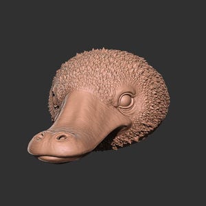May include: A detailed sculpture of a platypus head, showcasing the animal's distinctive bill and textured fur. The sculpture is a light brown color and is set against a dark gray background.