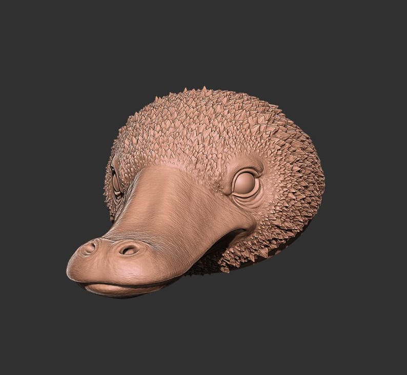 May include: A detailed sculpture of a platypus head, showcasing the animal's distinctive bill and textured fur. The sculpture is a light brown color and is set against a dark gray background.