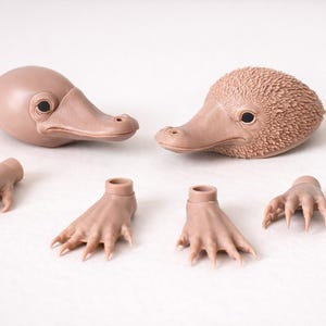 May include: Two light brown echidna heads, one smooth and one textured, with matching feet and hands. The heads have dark eyes and long snouts. The hands and feet have long, sharp claws. The items are arranged on a white surface.