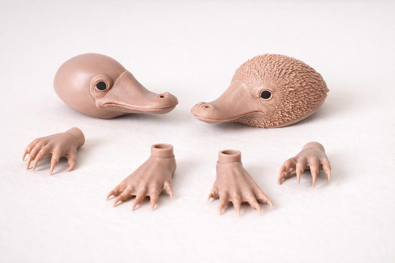 May include: Two light brown echidna heads, one smooth and one textured, with matching feet and hands. The heads have dark eyes and long snouts. The hands and feet have long, sharp claws. The items are arranged on a white surface.