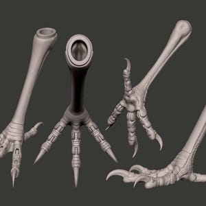 May include: A set of four light grey, three-dimensional rendered bird leg and claw models. Each piece features a textured, scaly surface with sharp, curved talons and a hollow, cylindrical opening at the top of the leg for attachment or mounting.