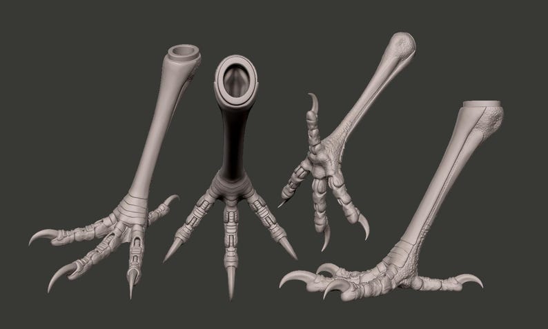 May include: A set of four light grey, three-dimensional rendered bird leg and claw models. Each piece features a textured, scaly surface with sharp, curved talons and a hollow, cylindrical opening at the top of the leg for attachment or mounting.