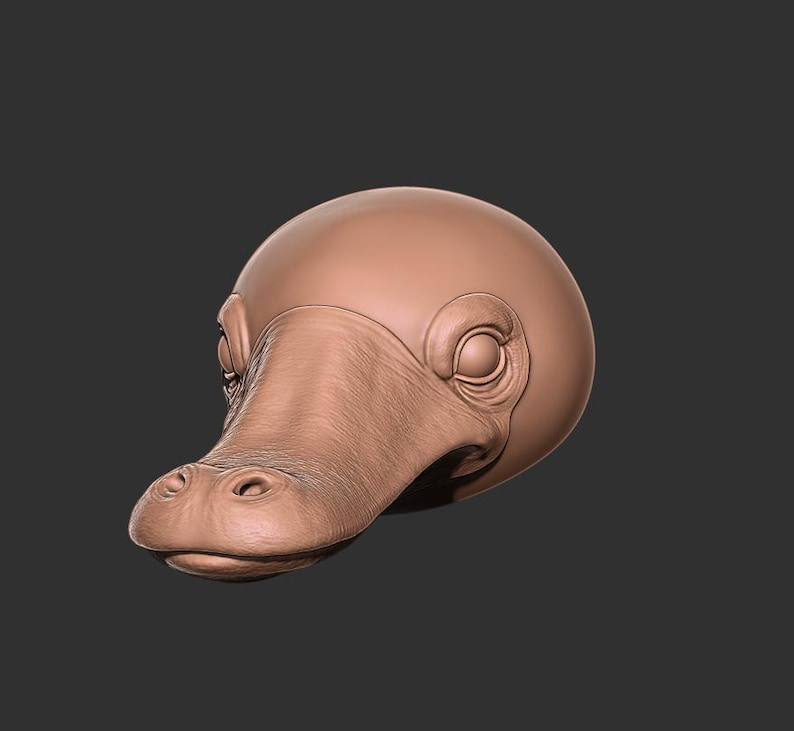 May include: A detailed, brown sculpture of a platypus head. The sculpture features textured skin, a prominent bill, and detailed eyes. The head is set against a dark gray background.