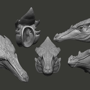 Könnte beinhalten: Fünf detaillierte 3D-gedruckte Drachenkopfmodelle in Grau, jedes mit einzigartigen Merkmalen und Texturen. Die Modelle sind in einem Halbkreis angeordnet und zeigen verschiedene Blickwinkel auf die Drachenköpfe.