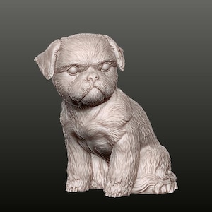 May include: A detailed, light-colored sculpture of a seated puppy with a slightly grumpy expression. The puppy has floppy ears, a wrinkled face, and a fluffy coat. The sculpture is set against a dark gray background.