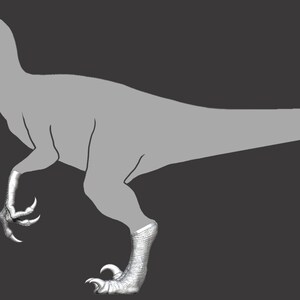 Flat Raptor Feet Raptor Feet for Art Dolls to Paint and Process Yourself, DIY - Etsy