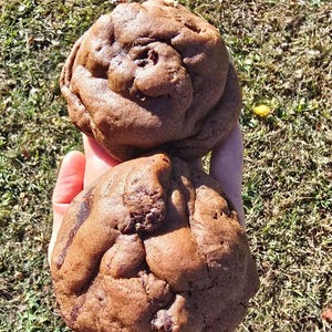 Chocolate Fudge Brownie Stuffed Cookie- gourmet cookie, cottage food friendly, stuffed cookie, filled cookie