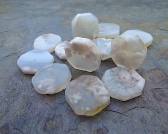 Agate Sakura/Cherry Blossom Heishi Octagon Beads. 12 Beads. Polished. Madagascar. 20mm.   001220