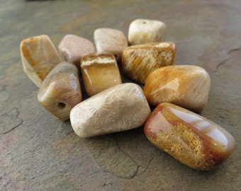 Awesome Fossil Coral Beads. Large Natural Nuggets. Slightly Faceted. Polished. 10 Beads