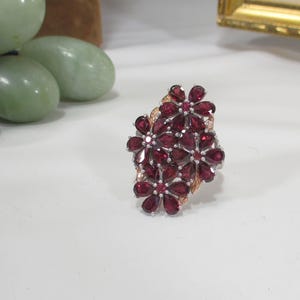 Könnte beinhalten: Ein Ring in Blumenform mit tiefroten Edelsteinen in Silber- und Goldmetall. Das Design des Rings umfasst mehrere blütenartige Cluster, die ein kühnes und elegantes Schmuckstück schaffen. Die Edelsteine sind so geschliffen, dass sie ihren Glanz verstärken.