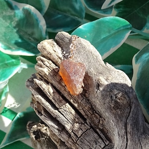 Raw hessonite orange garnet necklace,rough garnet necklace,raw crystal necklace,january birthstone,wicca wiccan,pagan shaman,rocks minerals