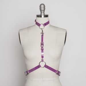 May include: Purple vinyl harness with silver hardware and adjustable straps. The harness has a choker style neckline and a ring at the center of the chest.