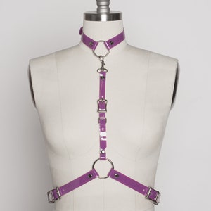 May include: Purple vinyl harness with silver hardware, including a choker, a ring, and a buckle. The harness is on a white mannequin.