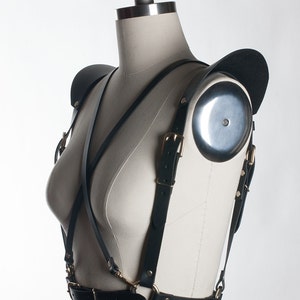 May include: Black leather harness with gold hardware and shoulder pads. The harness has adjustable straps and buckles.