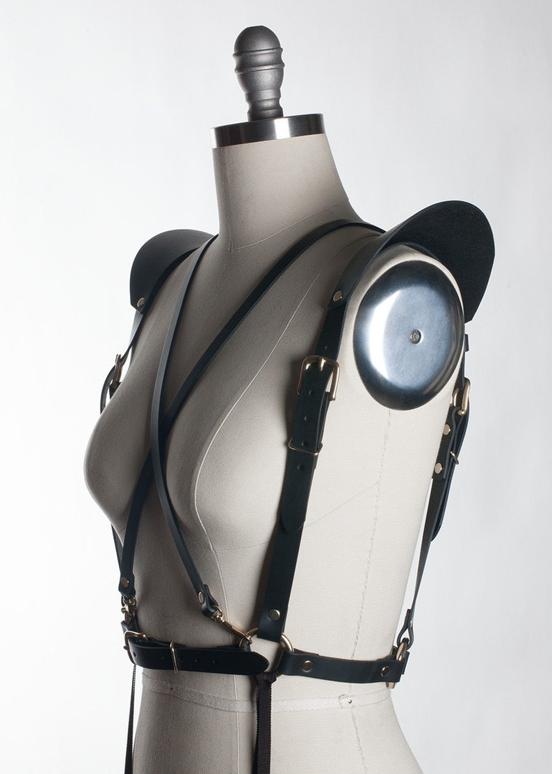 May include: Black leather harness with gold hardware and shoulder pads. The harness has adjustable straps and buckles.