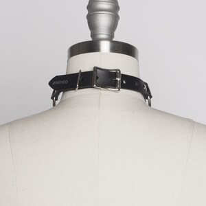 May include: Black leather choker with silver hardware and the word "APATICO" embossed on the strap.