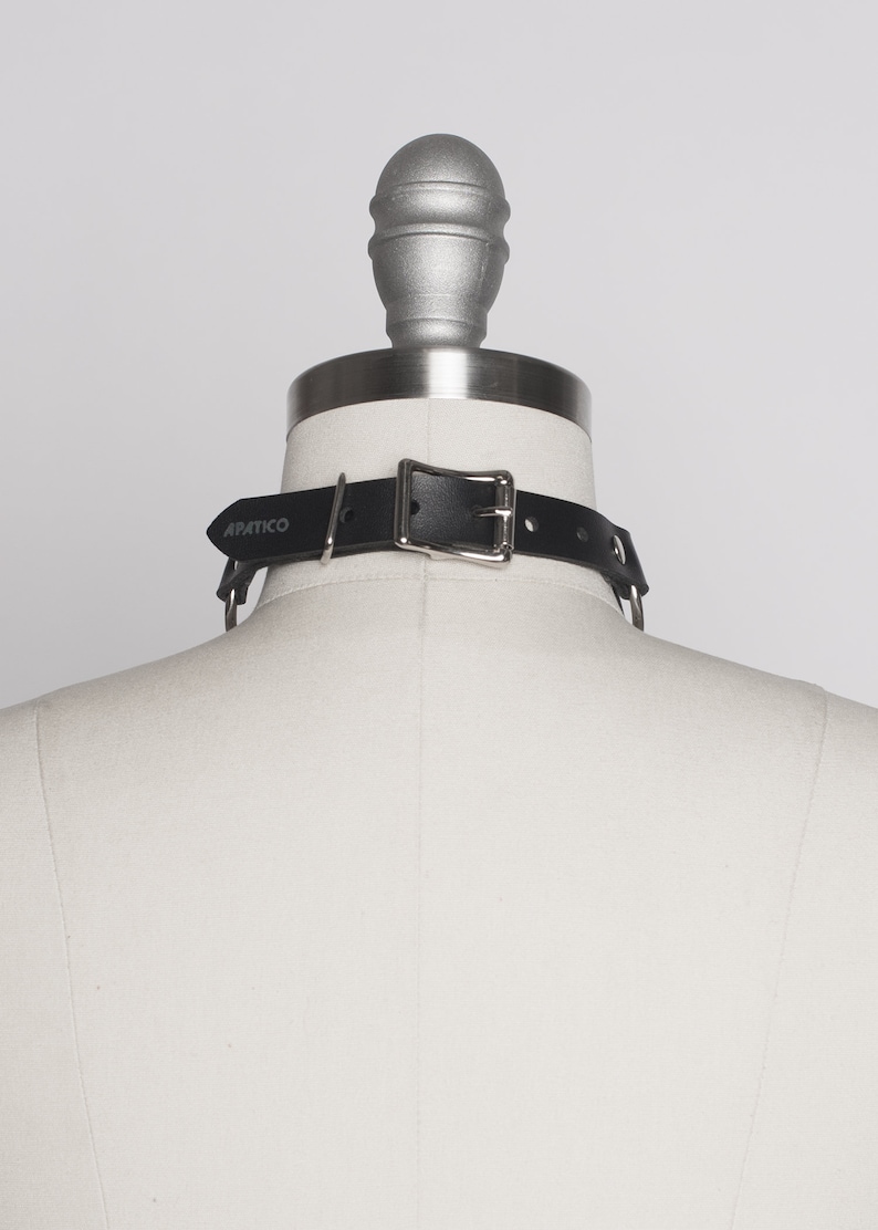May include: Black leather choker with silver hardware and the word "APATICO" embossed on the strap.