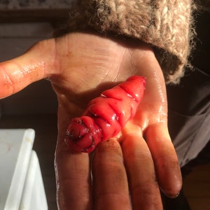May include: A close-up of a bright red, fleshy, worm-like object with a textured surface. The object is being held in a person's hand.