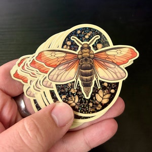 Vintage Moth Sticker Vinyl laptop sticker (WATERPROOF)