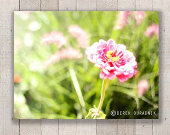 Derek Ouradnik Original Fine Art Fotografie Natur Blume Fotoabzüge