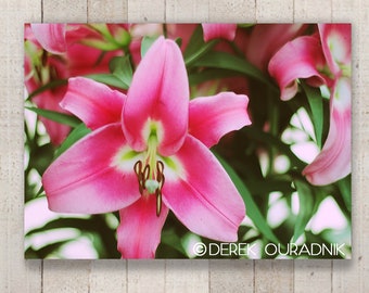 Derek Ouradnik Original Fine Art Fotografie Natur Blume Fotoabzüge