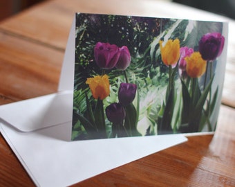 Derek Ouradnik Original Fine Art Photography Blume Hinweis Card Naturfoto