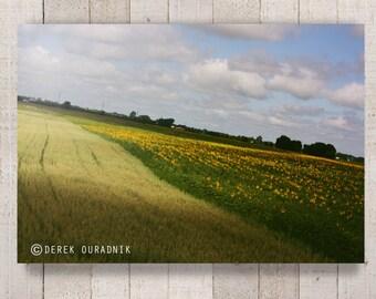 Derek Ouradnik Original Fine Art Fotografie Natur Blume Fotoabzüge