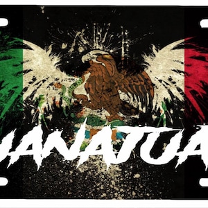 Placa de matrícula de Guanajuato aluminio 6"" x 12 "