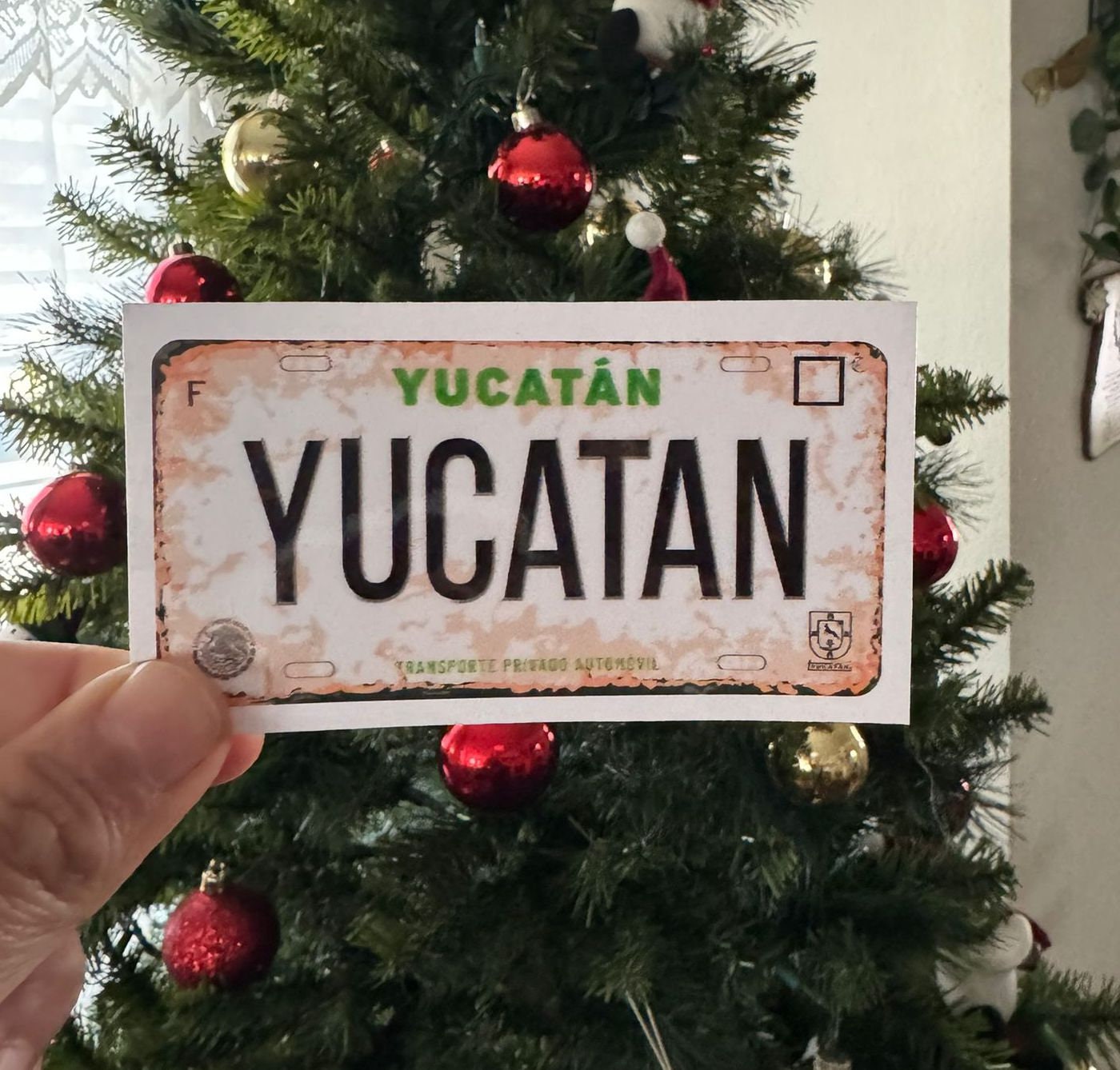 Plaque Immatriculation Décorative Mexique Yucatan - 15x30cm Aluminium - Pour Intérieur/Extérieur