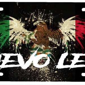 Nuevo León  Mexico Aluminum License Plate Placa  6&quot; x 12&quot;