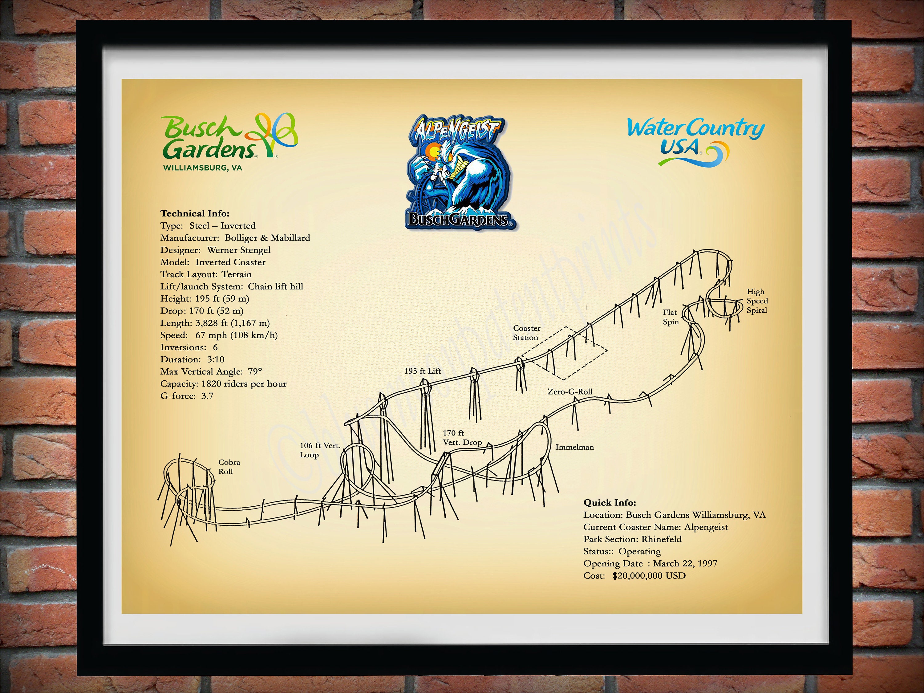 Alpengeist Roller Coaster Drawing, Busch Gardens Roller Coaster