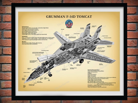 F-14D トムキャット爆撃機のプリント、F-14D スーパートムキャットの