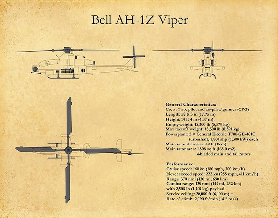 chieページ XENPg15pgFlyer25_1200x1200.jpg