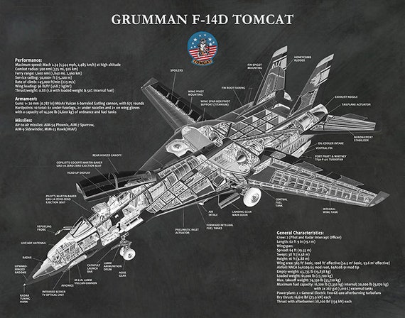 F-14D トムキャット爆撃機のプリント、F-14D スーパートムキャットの