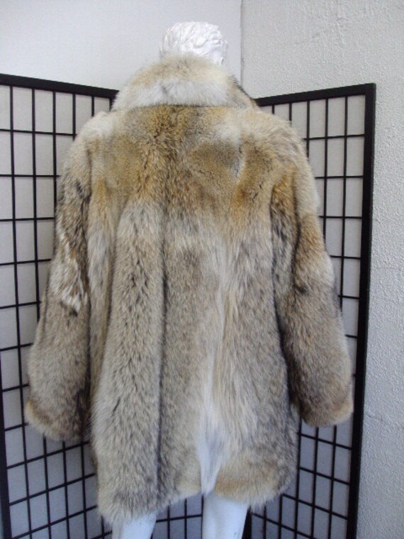 Men's Coyote Fur Collar